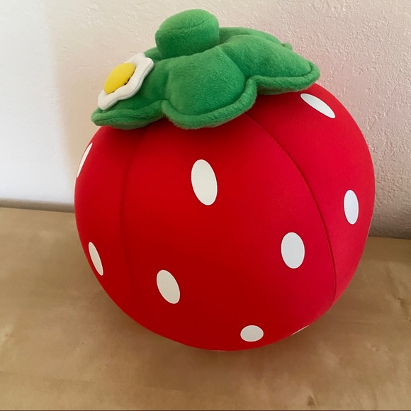 NWT Strawberry Microbead Pillow